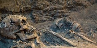 16th-century remains found in Chapultepec Park, Mexico City in 2023