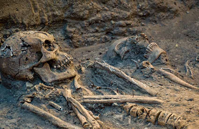 16th-century remains found in Chapultepec Park, Mexico City in 2023