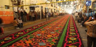 Sawdust carpet in Huamantla, Tlaxcala, Mexico