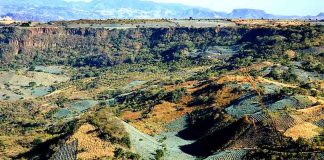La Toma Valley, in Tequila, Jalisco.