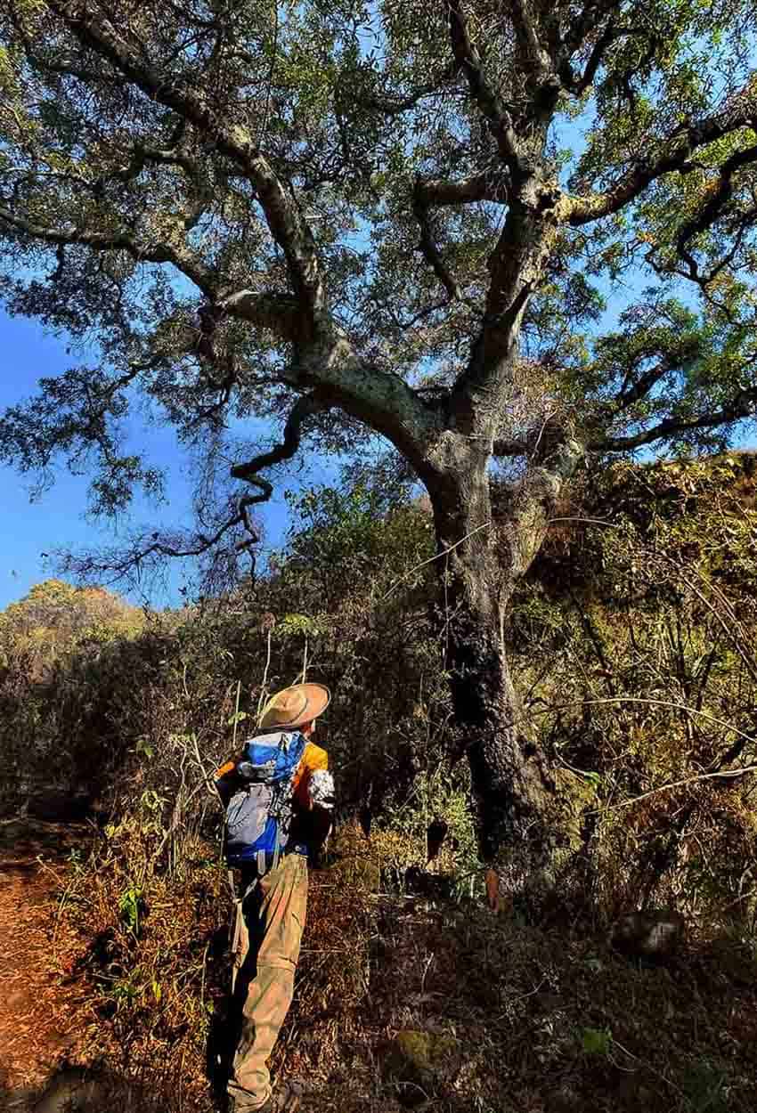 trail to the Mesa de Ocote, Lake Chapala hills