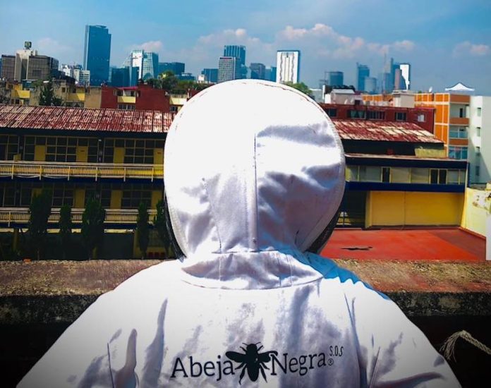 A beekeeper looks out over Mexico City