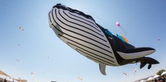 festivals and events in Mexico in March and April 2023