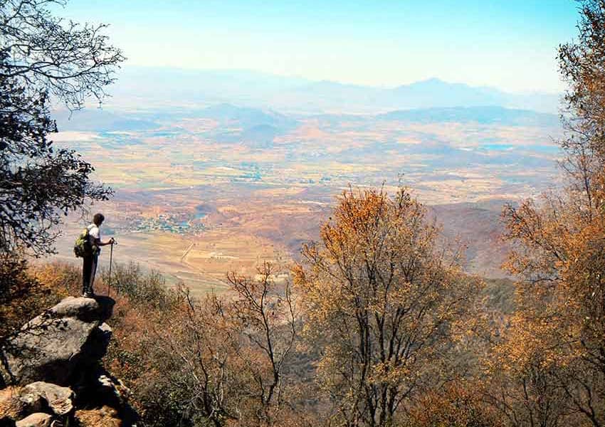 Cerro Viejo, Jalisco