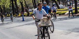 Man on Reforma Avenue, Mexico City