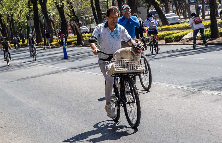 Pria di Reforma Avenue, Mexico City