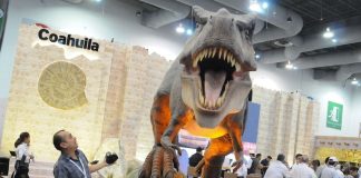 Tianguis Dinosaur Coahuila