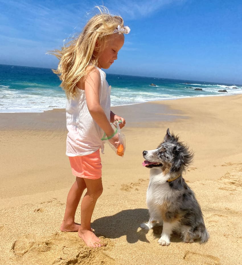 Girl with her dog on the beach