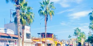 Kids cycling in Cabo San Lucas