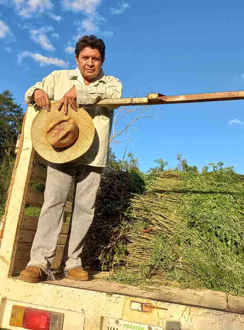 Yucatan sculptor Luis May Ku with indigo