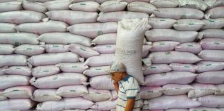 A worker at a Segalmex factory.