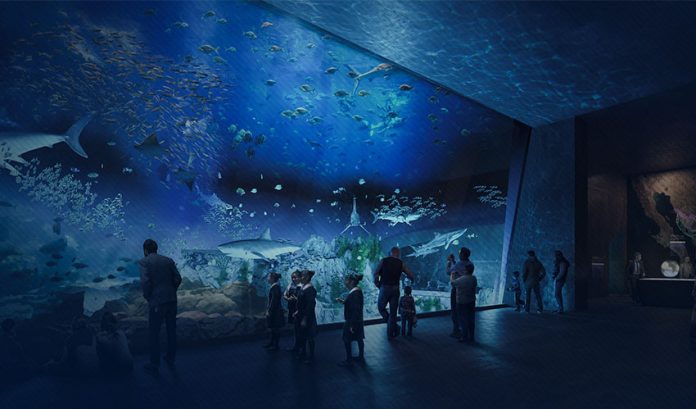 Planned Sea of Cortez Aquarium in Mazatlan, Mexico