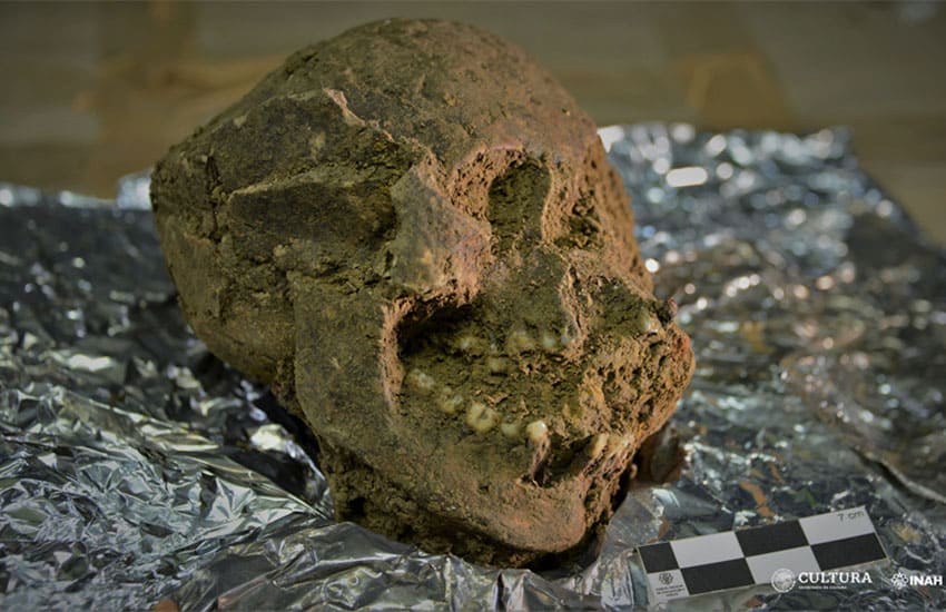 Skull of ancient foreign woman found at Palenque archaeological site