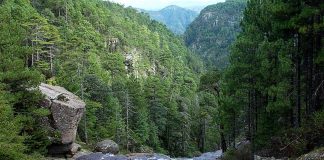 Mexiquillo nature park in Durango