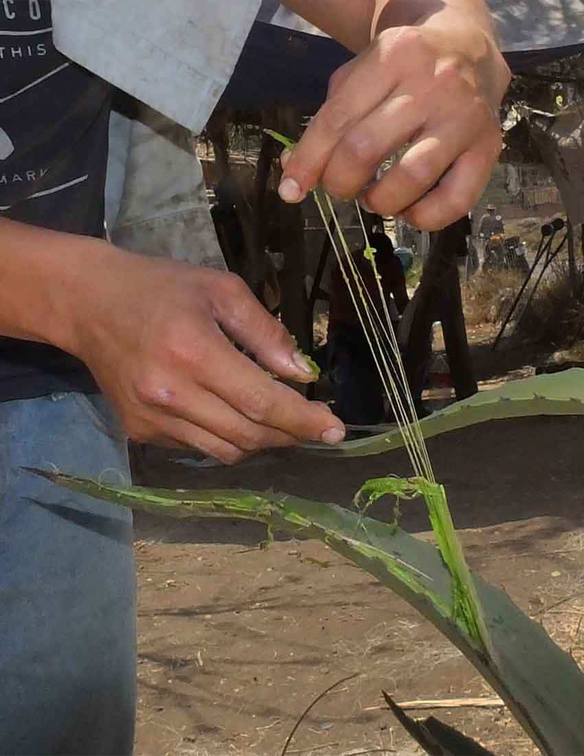 artisan rope making facility in Mexico