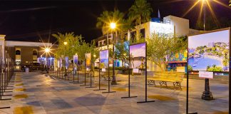 San Jose del Cabo art walk