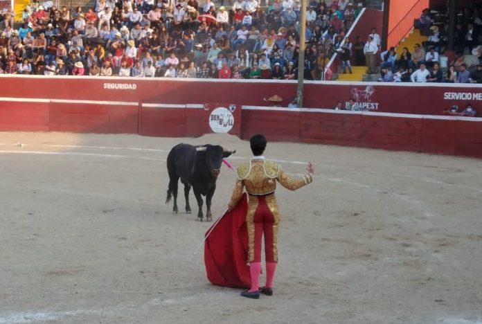 Esau Fernandez fights a bull in San Cristobal de las Casas, Chiapas