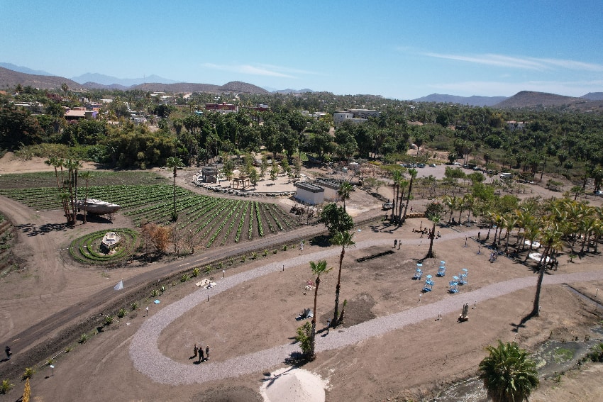 El Patio at Art Baja California