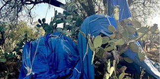 Remains of hot air balloon accident in Mexico state