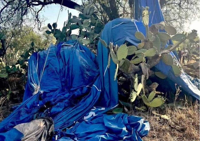 Remains of hot air balloon accident in Mexico state