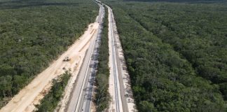 Maya Train in the jungle