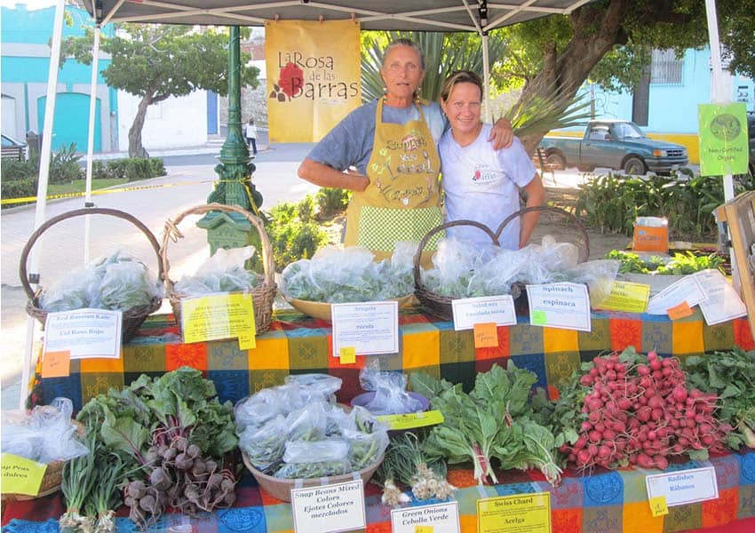 Vendors at Mazatlan's weekly organic market