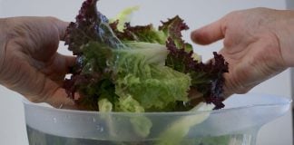 disinfecting bowl of lettuce in solution