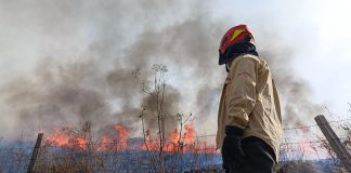 A firefighter in Guadalajara looks at a wildfire.