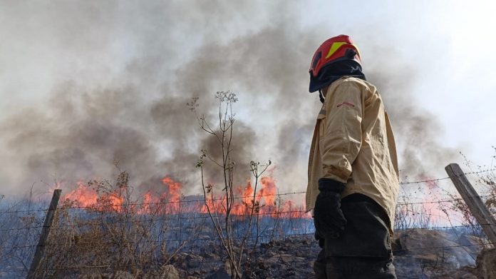 A firefighter in Guadalajara looks at a wildfire.