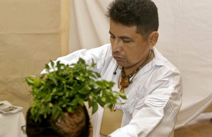 Mexican natural medicine expert