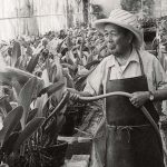 Tatsugoro Matsumoto watering plants