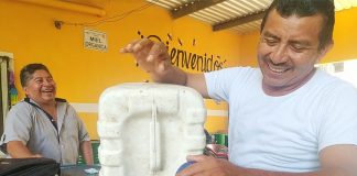 Don Josué is one of three local intermediaries working with 300 producers of Apis Mellifera honey, the selected species for Mexico’s main export.