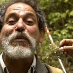 deceased mexican botanist Miguel Chazaro