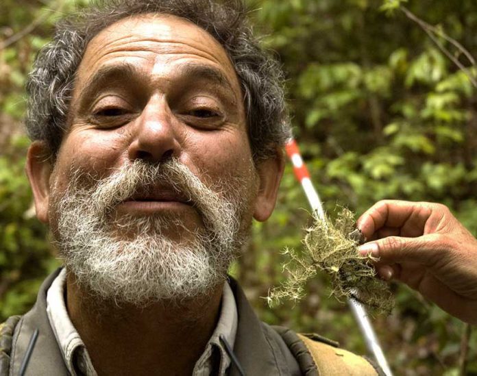deceased mexican botanist Miguel Chazaro
