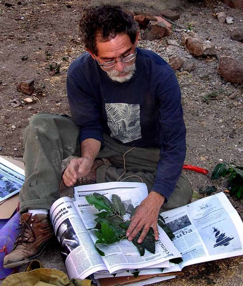 deceased mexican botanist Miguel Chazaro