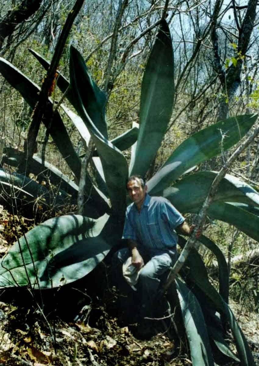 Oscar Valencia sitting-in his agave