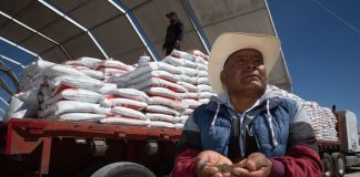 A Mexican farmer shows fertilizer to the camera