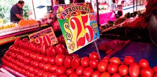 tomatoes for sale in Mexico City