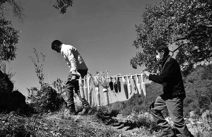 Graniceros in Mexico