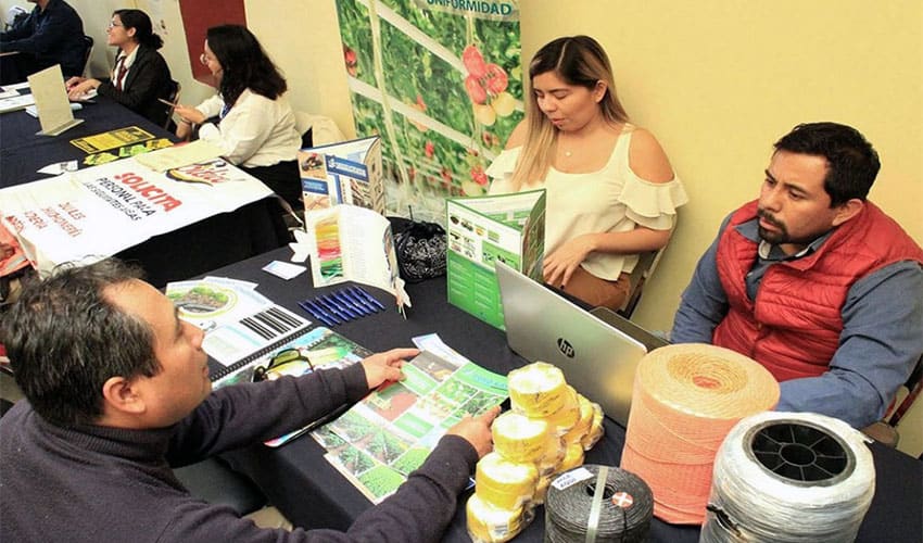 Employment fair in Oaxaca city