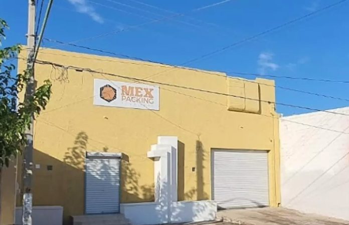Mexpacking Solutions in Chihuahua, Mexico