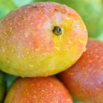 Mexican mango recipes