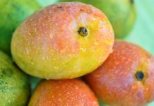 Mexican mango recipes