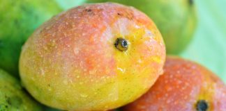 Mexican mango recipes