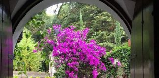 Molino de los Reyes hotel in Tlaxcala