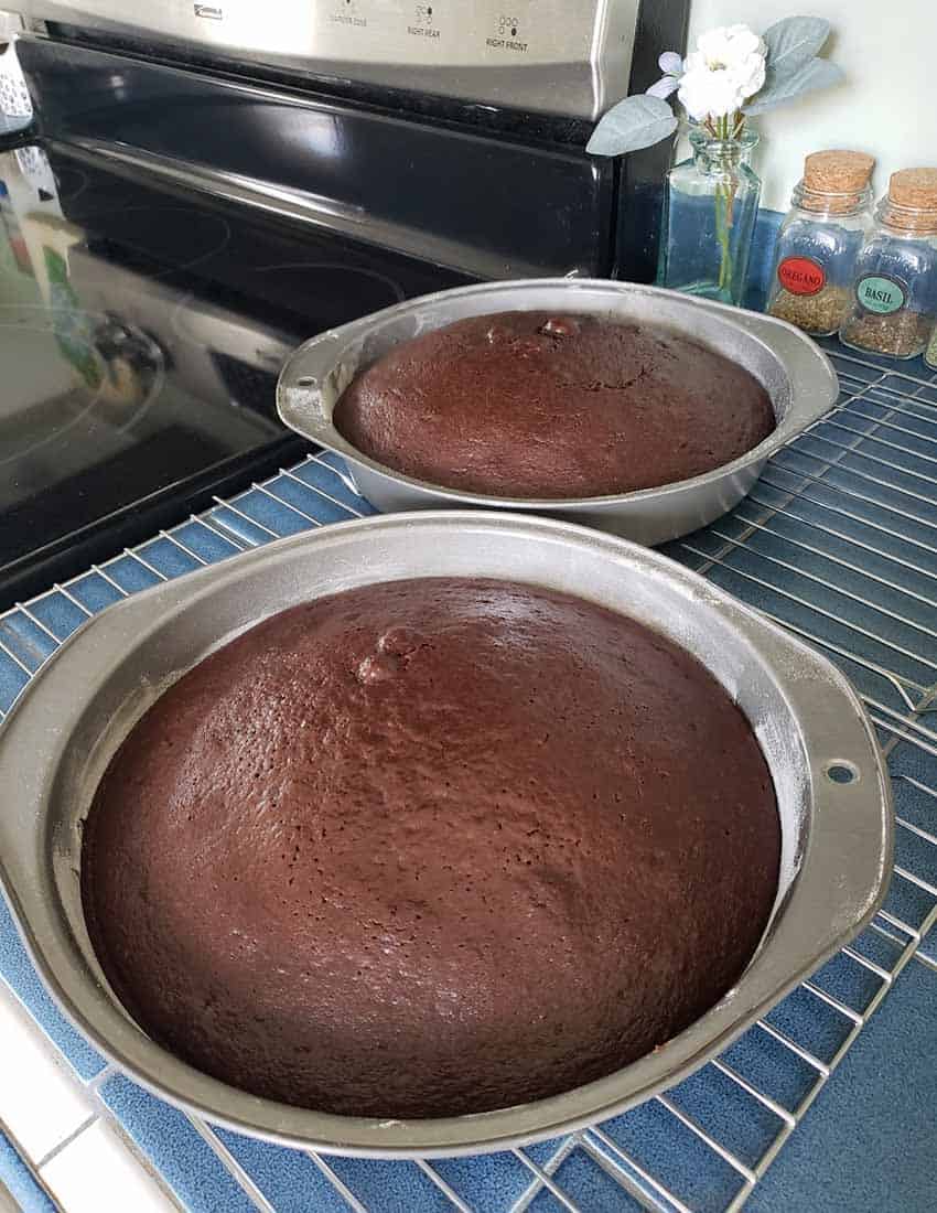 Chocolate cake in pans