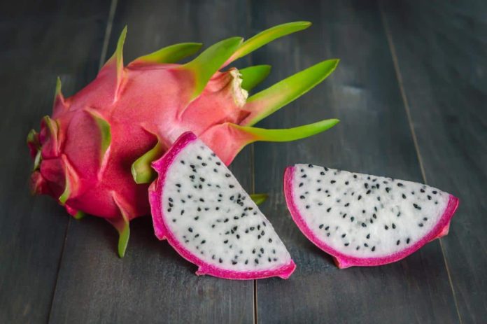 Pitaya is unusual in almost every way, from how it grows to what the fruit looks like and how it tastes.