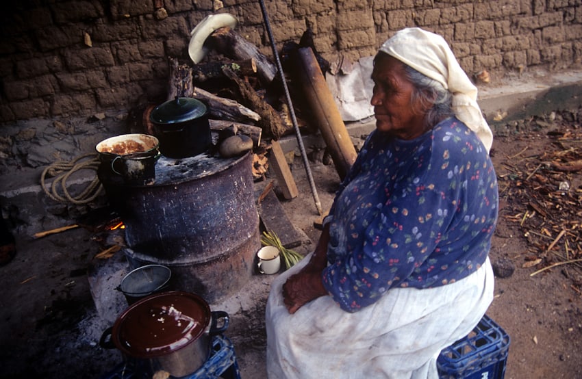 A Pima woman in Baja California