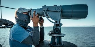 A searcher looks for vaquitas in Mexico