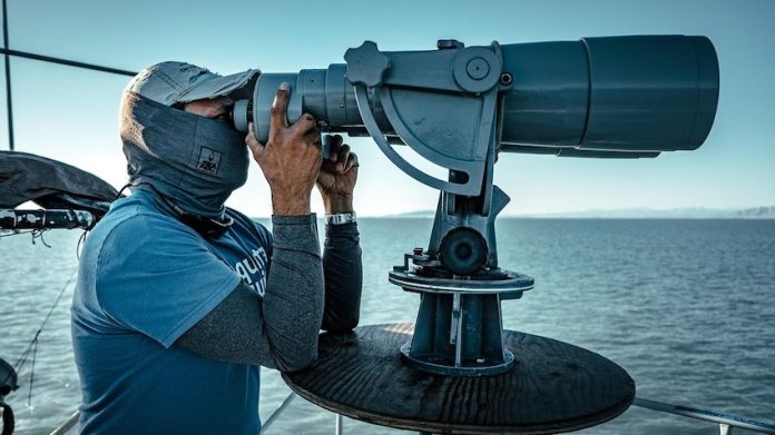 A searcher looks for vaquitas in Mexico